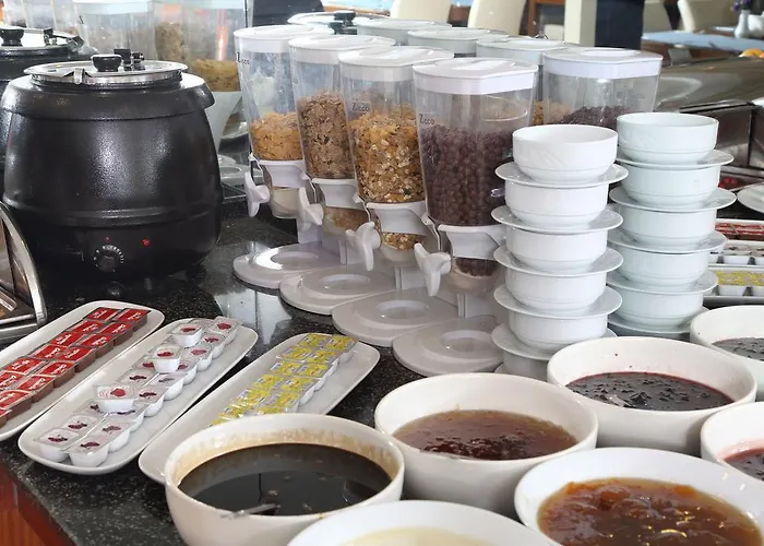 Garden Business فندق 4*