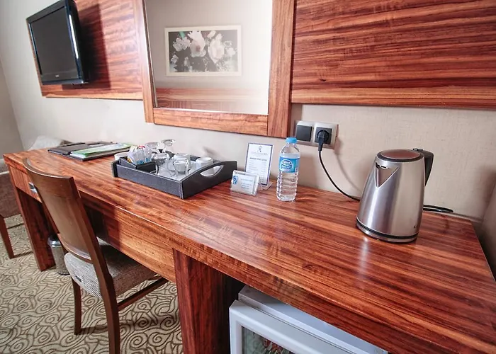 Garden Business فندق 4*